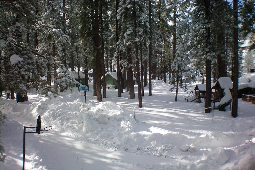 Majestic Moose Lodge - Coptic Village Big Bear Lake Exterior photo